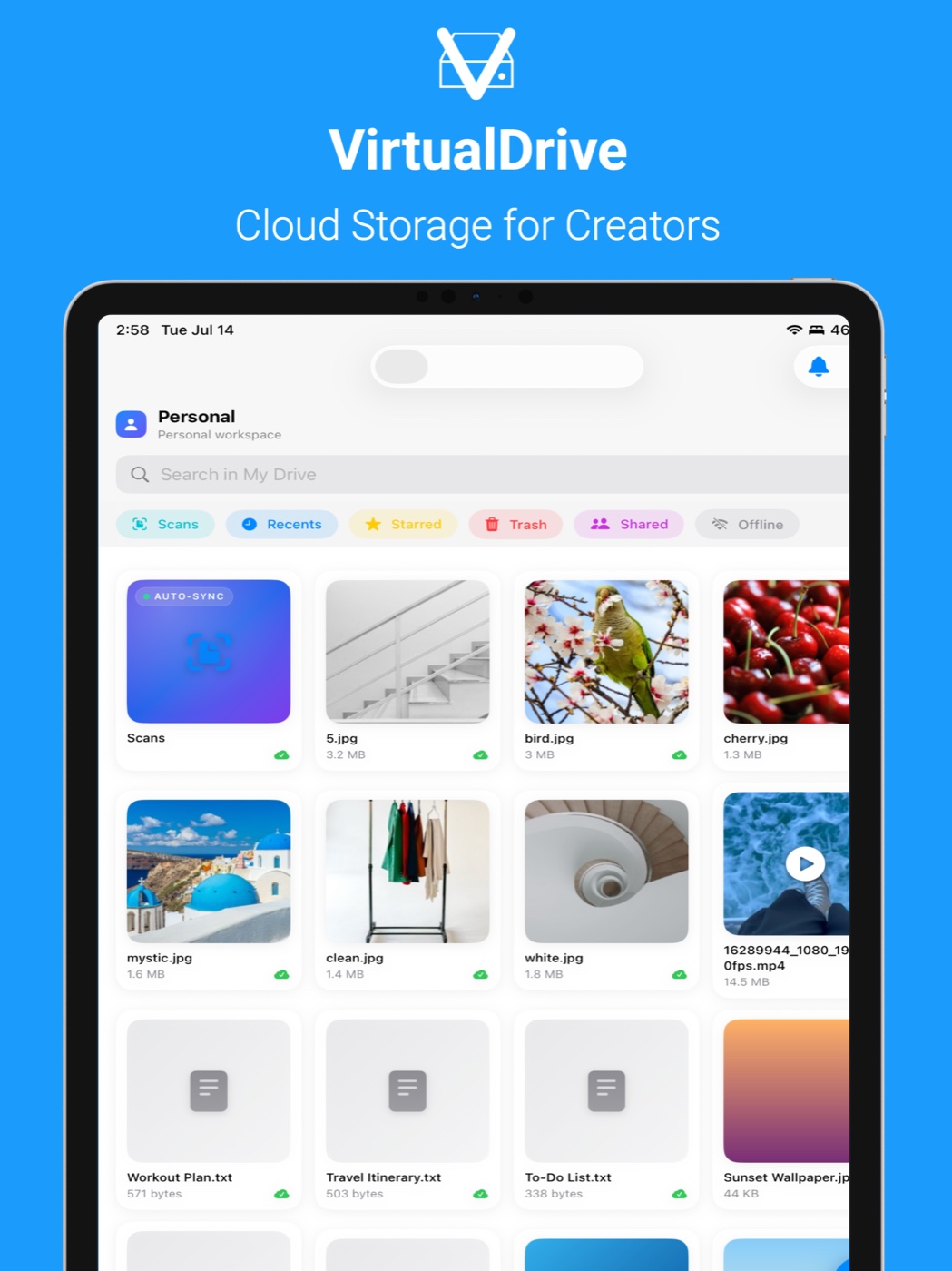 VirtualDrive App (iOS BETA)の開発実績